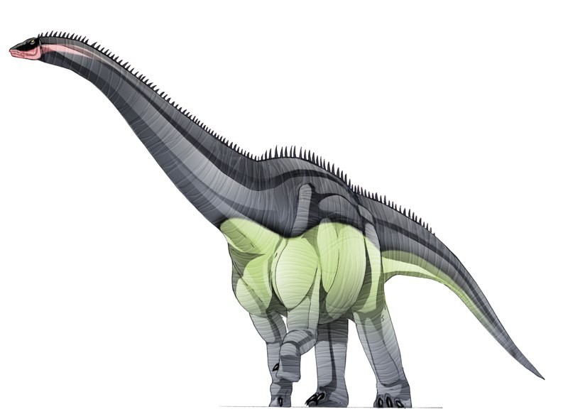 Kenalan Yuk Gan sama Dinosaurus dari Asia Tenggara!