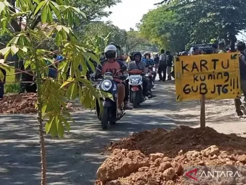 Viral Respons Gubernur Jateng soal Jalan Rusak di Blora, Warga Tanam Pohon Pisang