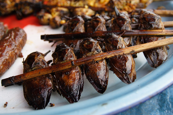 5 Jenis Makanan Gak Akan Busuk atau Kadarluarsa