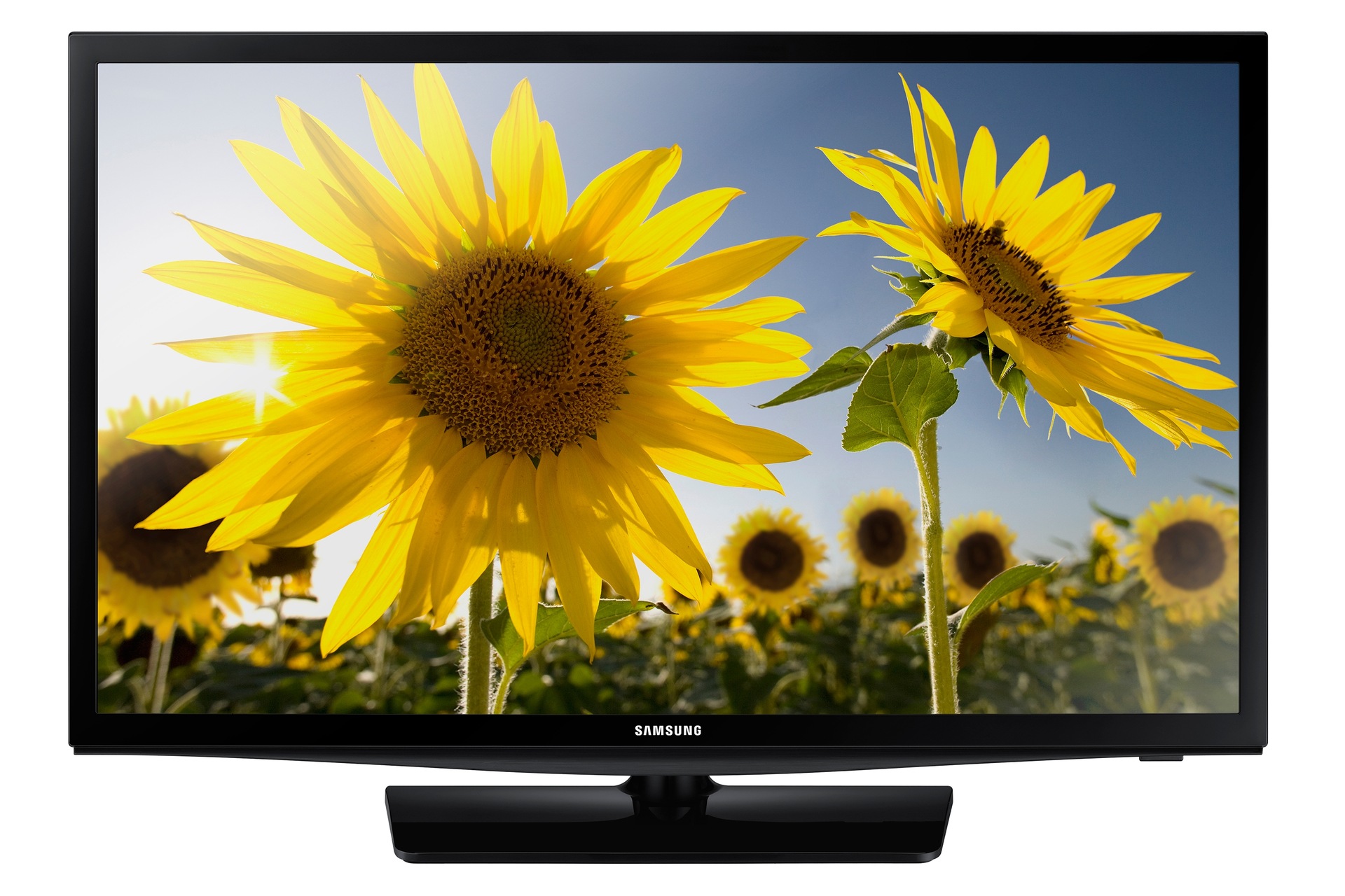 &#91;ASK&#93; TV LED 32&quot; 