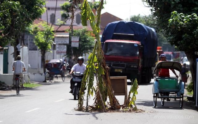 Jalan Pun Ditanami Pohon