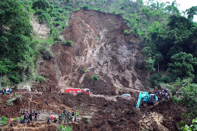 Selamatkan Hutan