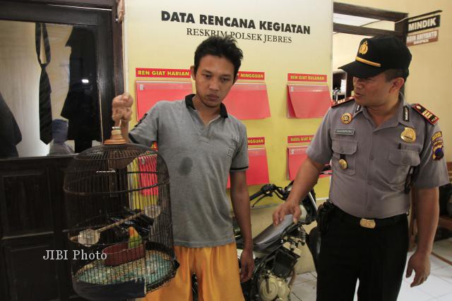 Terbukti Pernah Mencuri Saat di Solo, Jokowi Dibekuk Polisi dan Dijadikan Tersangka