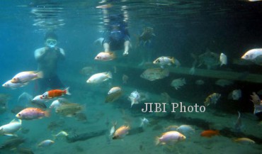 Regional Solo, Berenang Bareng Yuk Ke Umbul Ponggok