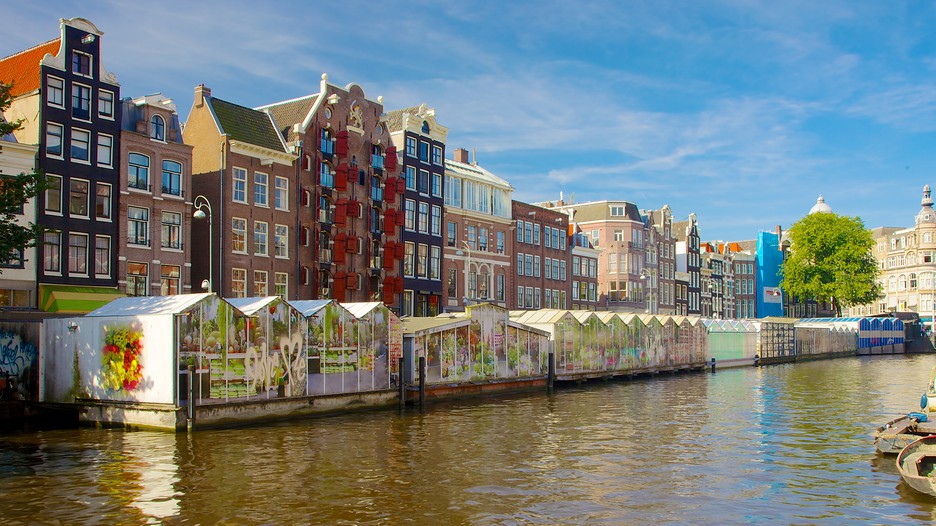 Indahnya Warna-Warni di Pasar Bunga Bloemenmarkt, Amsterdam