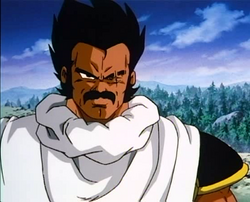 Mengenal Keluarga Saiya (penggemar Dragon Ball masuk!!!)