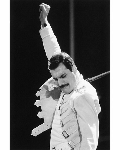 Freddie Mercury dan Beberapa Calon Penerusnya gan