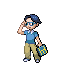 Pekerjaan atau jenis Pokemon Trainer yang ada di game Pokemon seri utama 