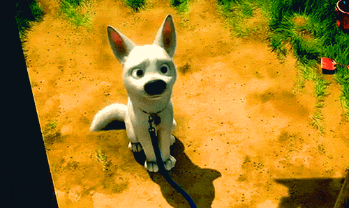 community-bolt-super-4g-lte---part-2