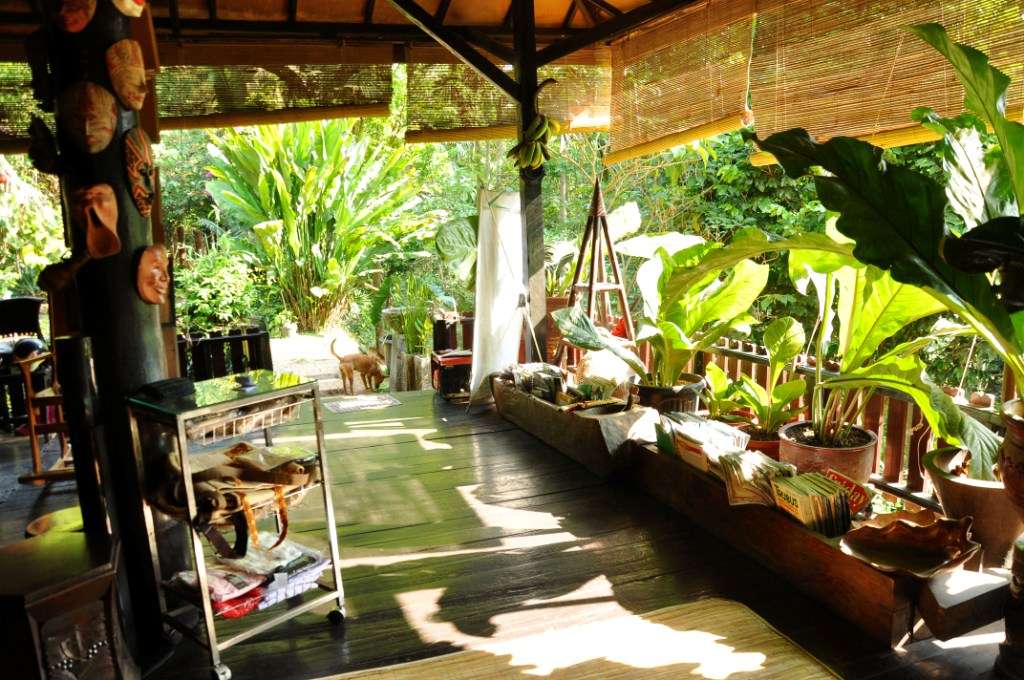 Nikmati Suana Hutan Tanpa Mendaki Gunung &quot;Hutan Organik Megamendung, Bogor.&quot; + Pic