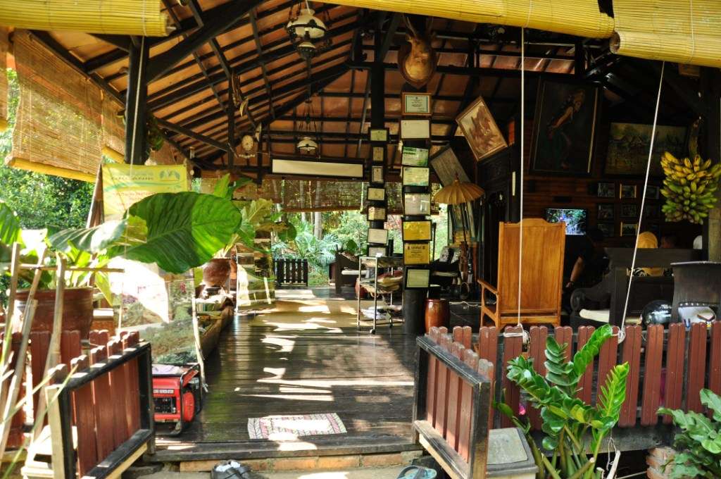 Nikmati Suana Hutan Tanpa Mendaki Gunung &quot;Hutan Organik Megamendung, Bogor.&quot; + Pic