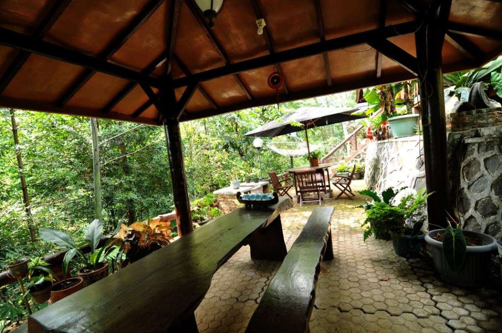 Nikmati Suana Hutan Tanpa Mendaki Gunung &quot;Hutan Organik Megamendung, Bogor.&quot; + Pic