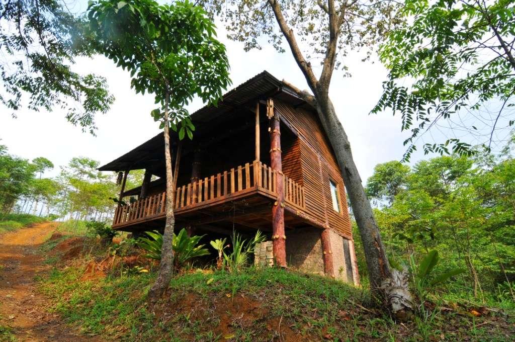 Nikmati Suana Hutan Tanpa Mendaki Gunung &quot;Hutan Organik Megamendung, Bogor.&quot; + Pic