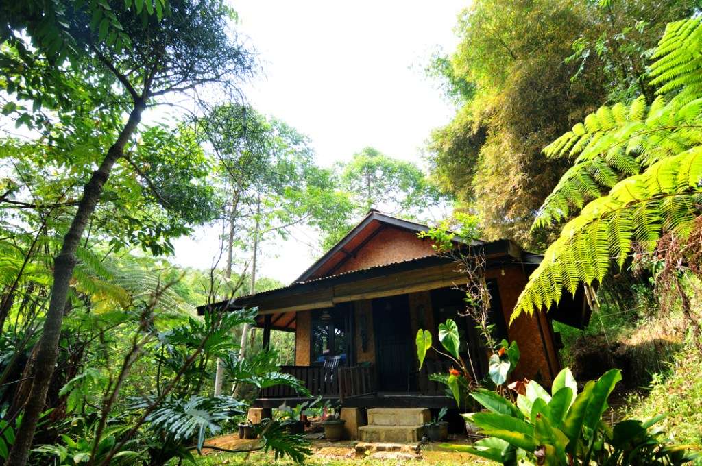 Nikmati Suana Hutan Tanpa Mendaki Gunung &quot;Hutan Organik Megamendung, Bogor.&quot; + Pic