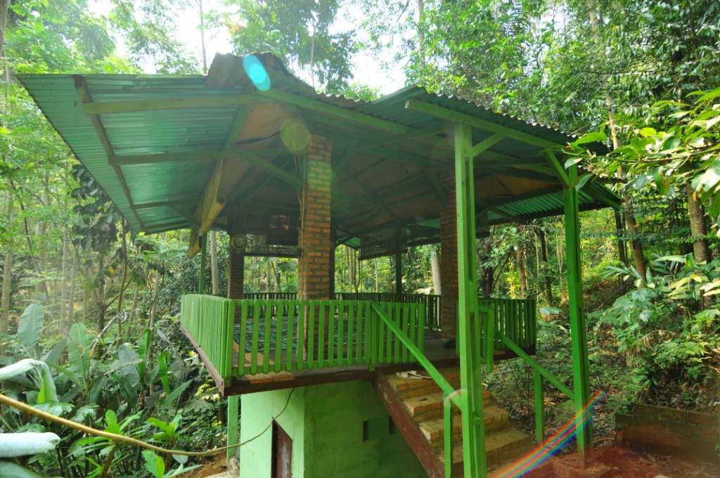 Nikmati Suana Hutan Tanpa Mendaki Gunung &quot;Hutan Organik Megamendung, Bogor.&quot; + Pic
