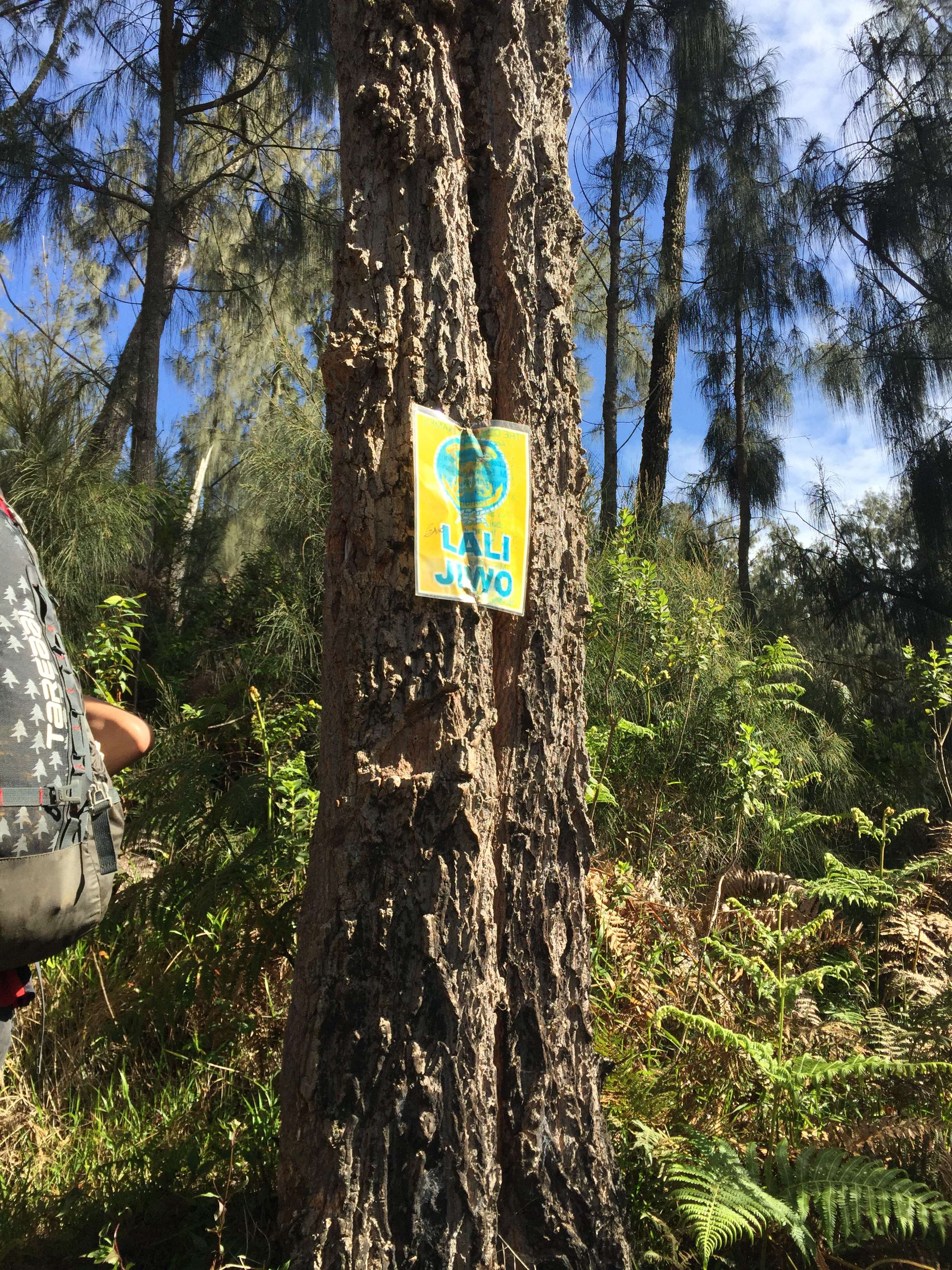&#91;CATPER&#93; PENDAKIAN ARJUNO-WELIRANG via LAWANG turun TRETES (7-9 APRIL 2018)