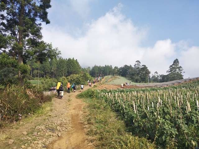 &#91;Catper&#93; Pendaki kantoran menyapa atap Jawa Tengah Slamet 3.248mdpl via Dipajaya