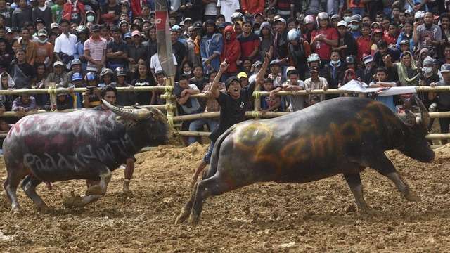 5 Ritual Unik Suku Di Indonesia