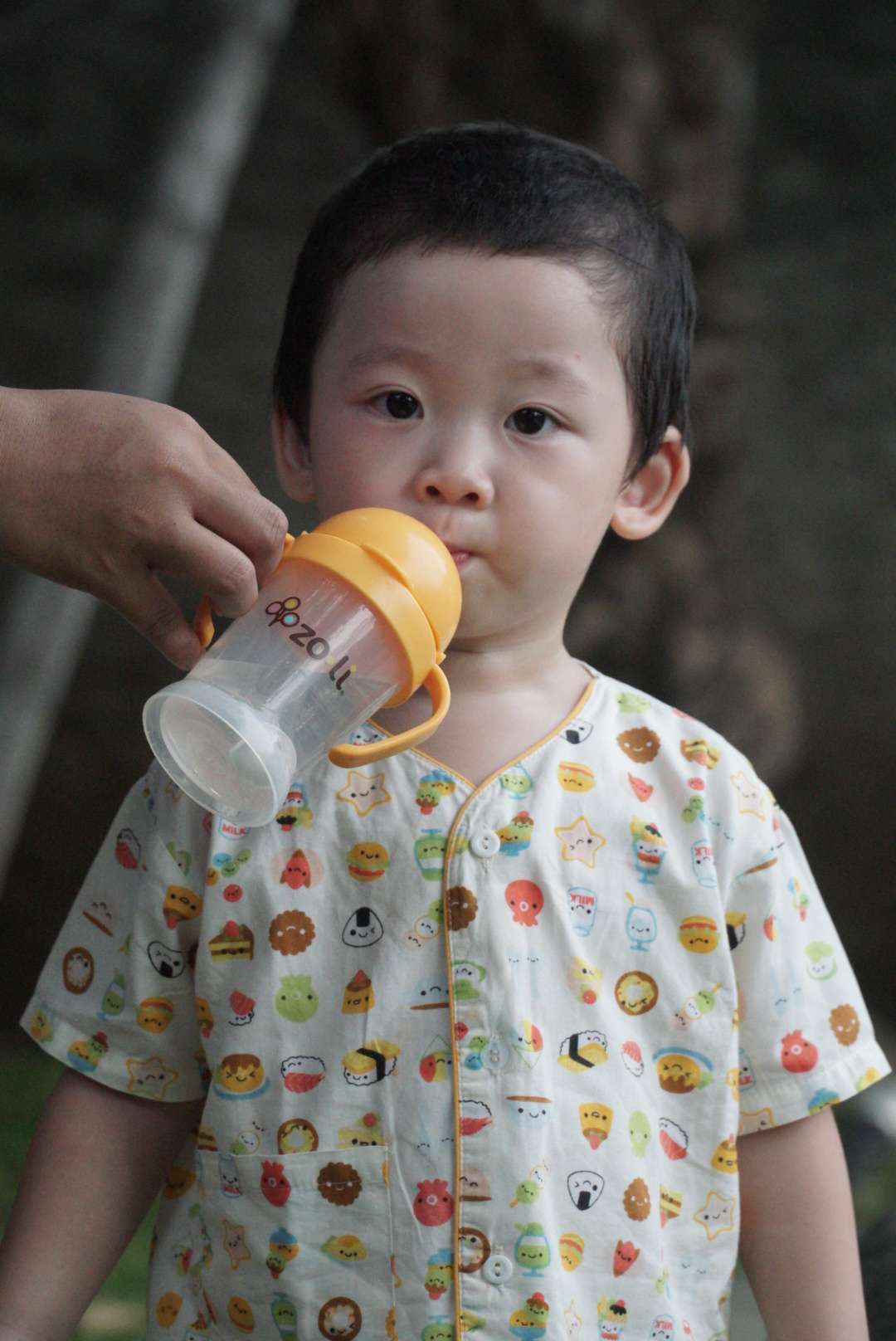 new-pendopo-sony-alpha---part-1