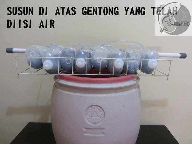 &#91;DIY&#93; Aquaponic Keren dari Gentong Bekas