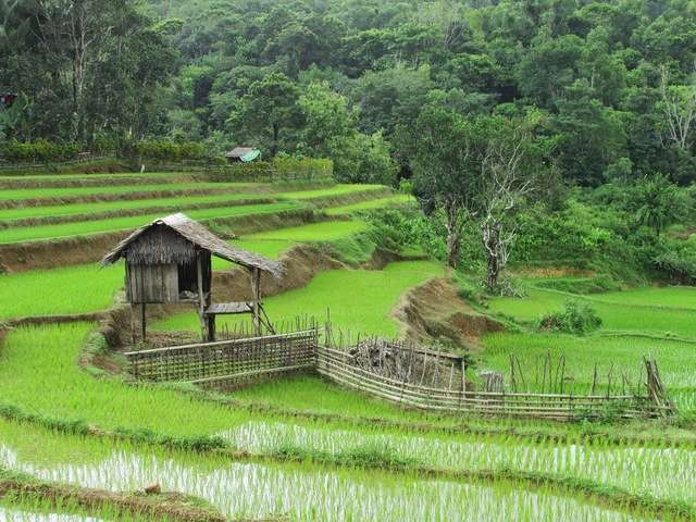 Liburan Dikampung Halaman