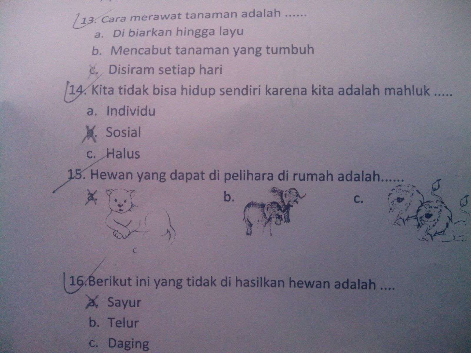 &#91; Real Guru Cerdas &#93; Ada yang bisa nyelesaikan soal kelas 1 SD ? 