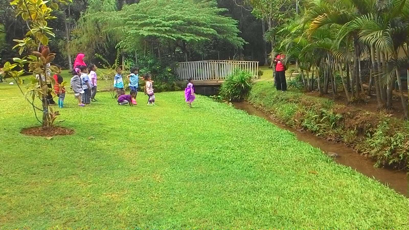 Jelajah Taman - Mengenal Taman Tabebuya