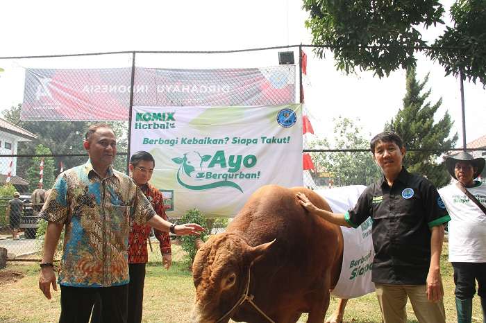 Salurkan Hewan Kurban, Komik Herbal Serahkan Sapi Seberat 1 Ton ke BNN