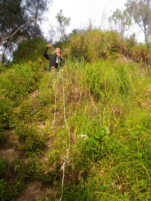 &#91;Catper&#93; Gunung Wilis Puncak Limas, Via Bajulan-Kab. Nganjuk, 25-26 Desember 2016