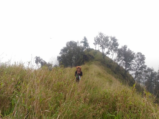 &#91;Catper&#93; Gunung Wilis Puncak Limas, Via Bajulan-Kab. Nganjuk, 25-26 Desember 2016