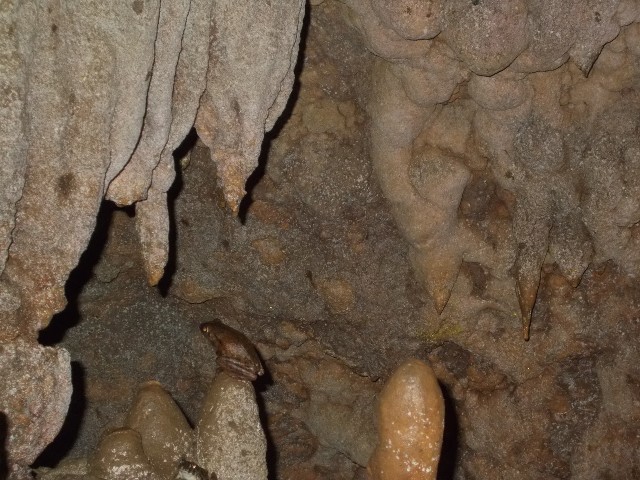 GUA KEMBANG, SURGA BAWAH TANAH DI KAWASAN KARS PURWODADI