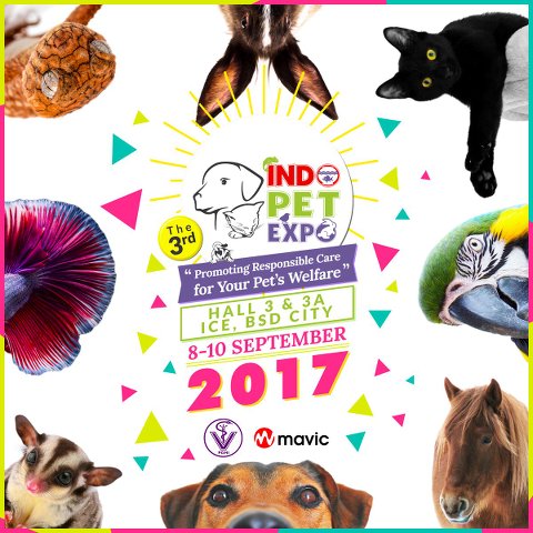 indo-pet-expo-2017-8---10-september-2017-yuk-dateng