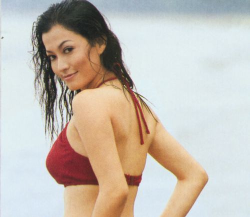 (Update) Kumpulan Foto Indah para Artis Calon Anggota Legislatif