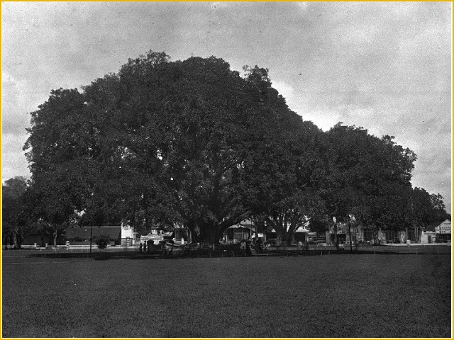 (Full Pic..!) Album Foto Kuno Kota Malang tahun 1919-1929