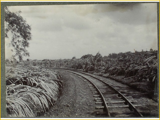 (Full Pic!) Koleksi Foto Letusan Kelud tahun 1901-1919, antara Keindahan dan Bencana.