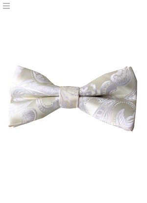 Dasi formal tie dasi kantor slim kupu-kupu bowtie ready stock bnyk pilihan