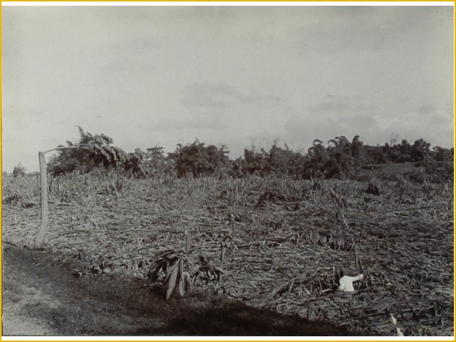(Full Pic!) Koleksi Foto Letusan Kelud tahun 1901-1919, antara Keindahan dan Bencana.
