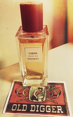 83628362836297339733the-perfume-community97339733836283628362-----part-8