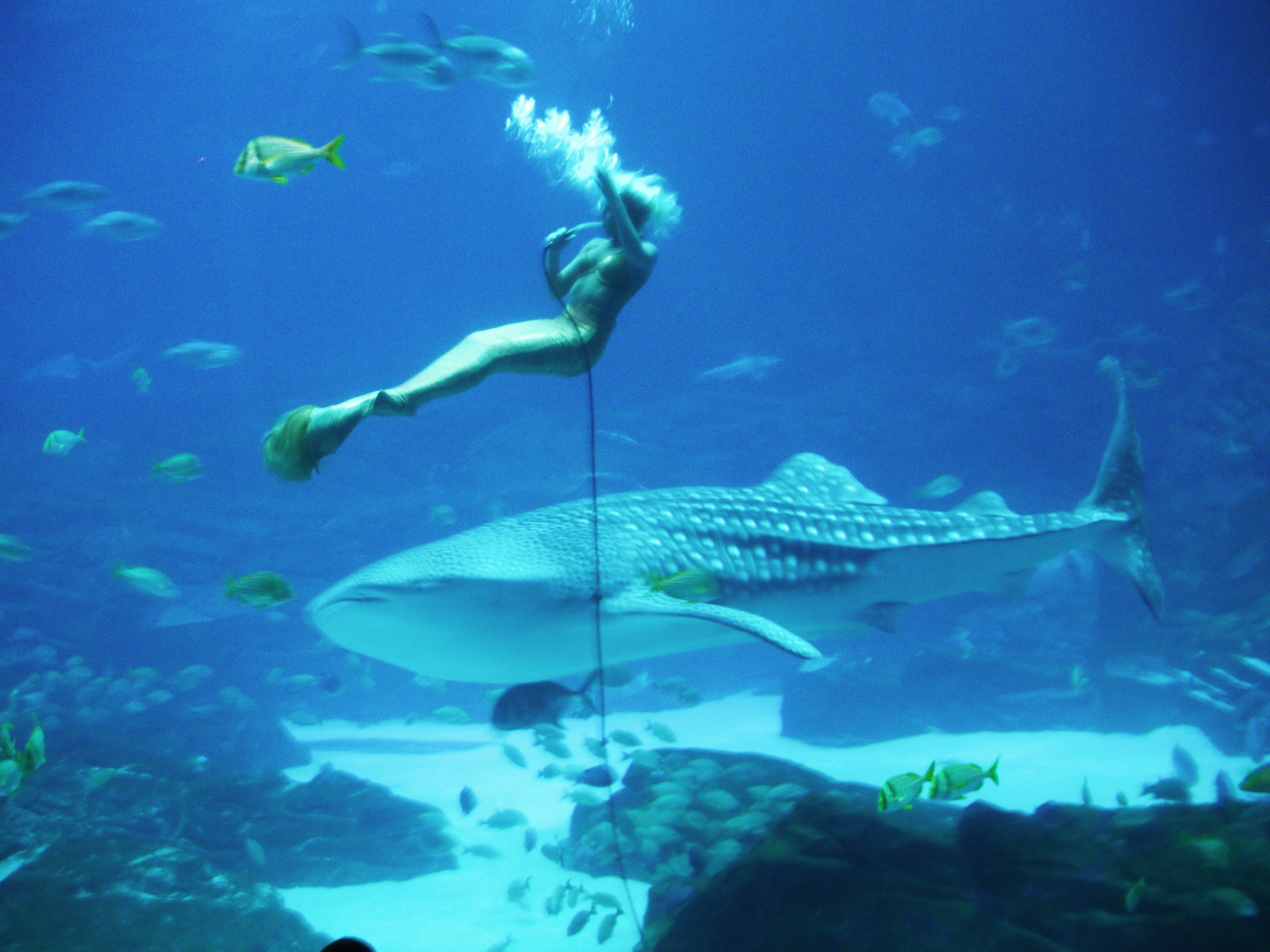 Mari Kita Intip Karya Underwater Hannah Fraser Menakjubkan Yuk