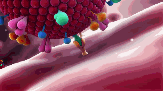 mengenal-obat-obatan-pelawan-covid-19-yang-diumumkan-gugus-tugas