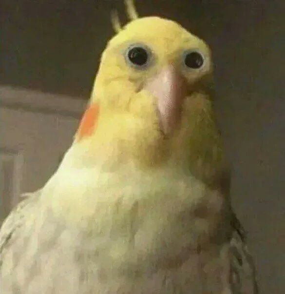 profesi-yang-menjanjikan-5-kualifikasi-untuk-menjadi-good-streamer-game-versi-ane