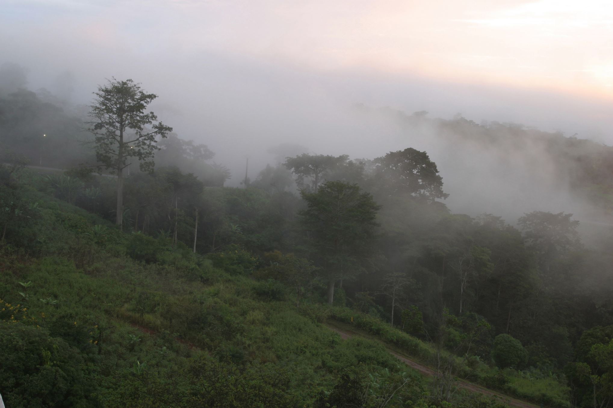10 Tempat Dengan Curah Hujan Tertinggi di Dunia