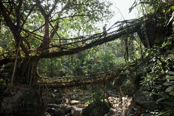 10 Tempat Dengan Curah Hujan Tertinggi di Dunia