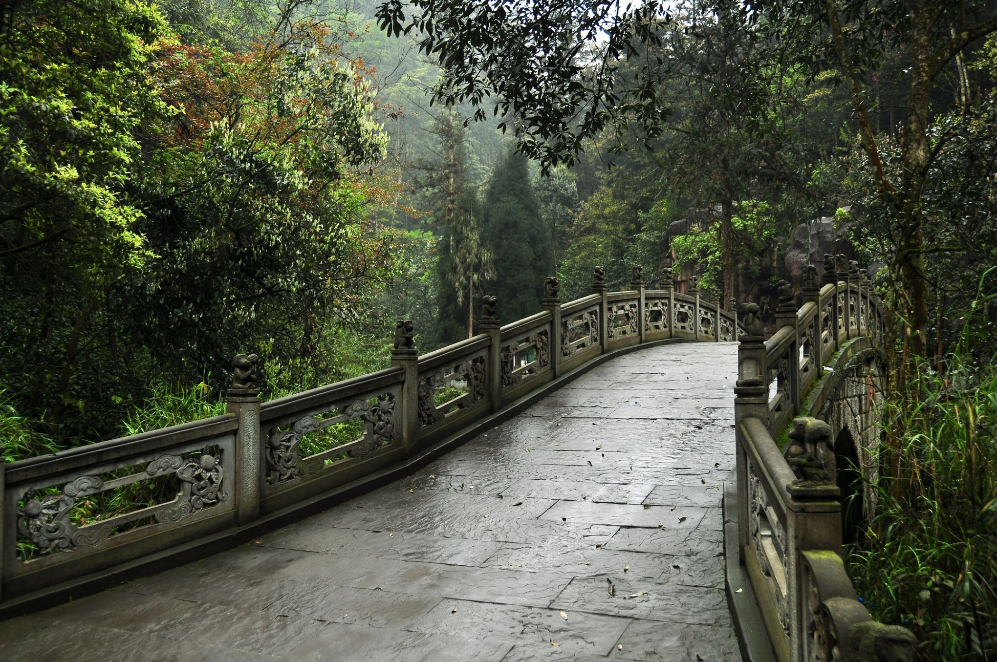 10 Tempat Dengan Curah Hujan Tertinggi di Dunia