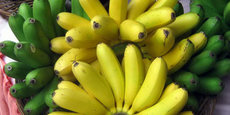 fakta-fakta-unik-tentang-pisang