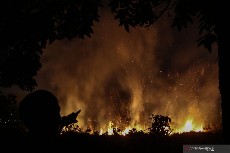 Sarwono ungkap penanganan kebakaran hutan saat ini jauh lebih baik