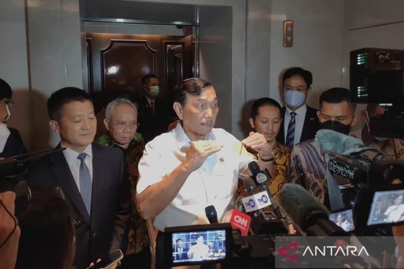 Luhut: Puncak gelombang varian baru COVID-19 dua bulan ke depan