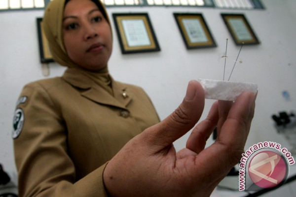 Ikan Kepala Timah, Cupang, Nila Digunakan Untuk Basmi Jentik Nyamuk Malaria