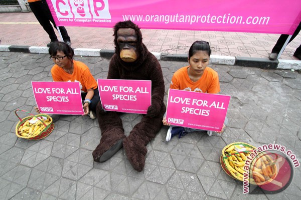 lounge-formil--gombalhok-si-thrombophob-kembali-siapa-lagi-mau-turun-gunung---part-8