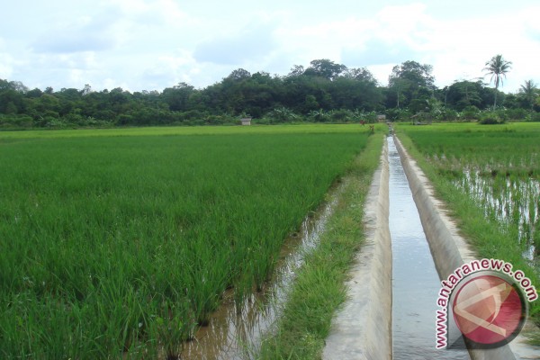 &#91;trit sepi&#93; Irigasi di lahan gambut butuh pengetahuan hidrolika